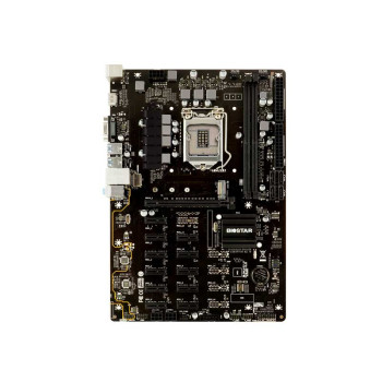 Biostar TB360-BTC Pro 2.0 Motherboard