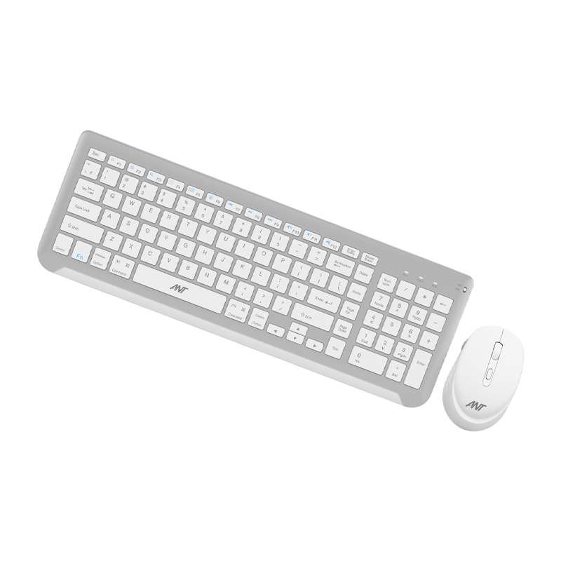 Ant WK250 Wireless Professional Keyboard & Mouse Combo