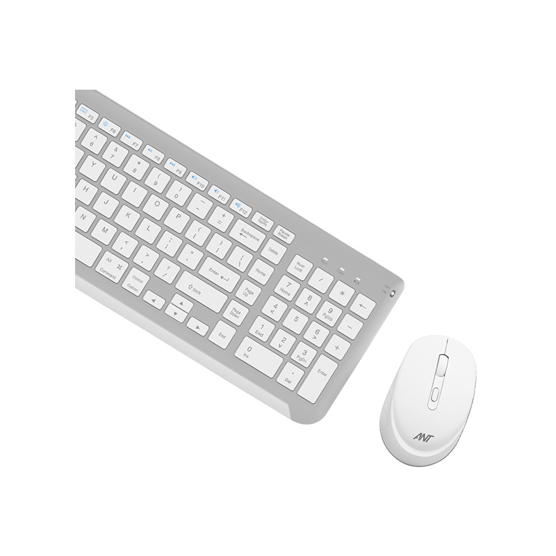 Ant WK250 Wireless Professional Keyboard & Mouse Combo