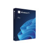 Microsoft Windows 11 Pro 64-bit OS English USB Stick