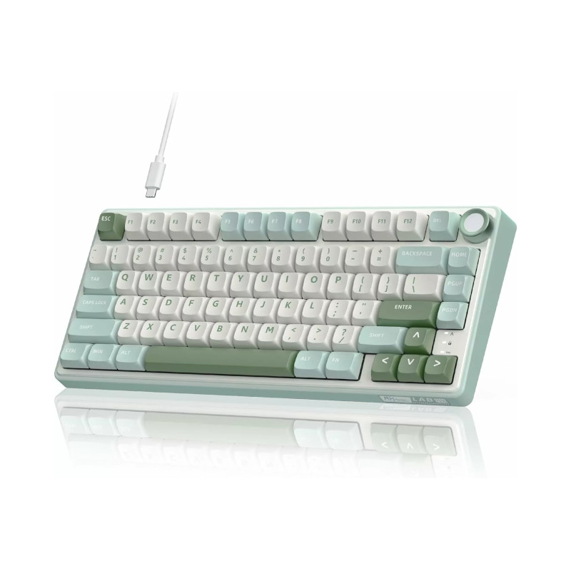 Buy Royal Kludge R75 75% Sky Cyan Wired | Silver Switch Mechanical